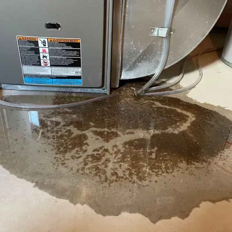 Appliance Leak Cleanup in Sequim, WA